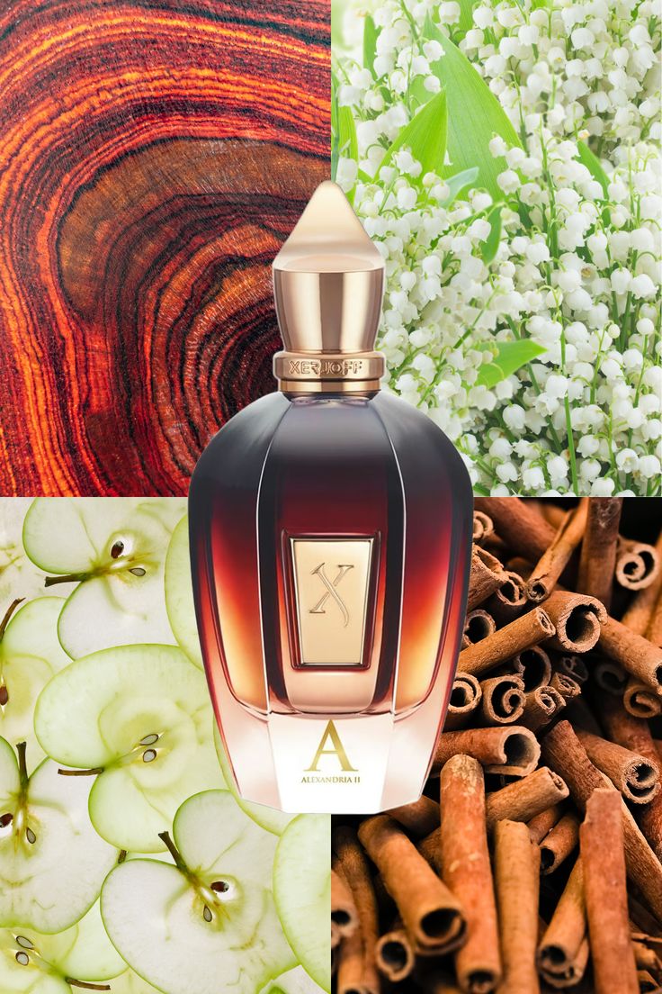 Xerjoff Alexandria II | Master Box 100ml