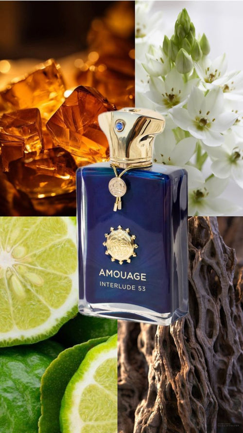 Amouage Interlude Man | Master Box 100ml