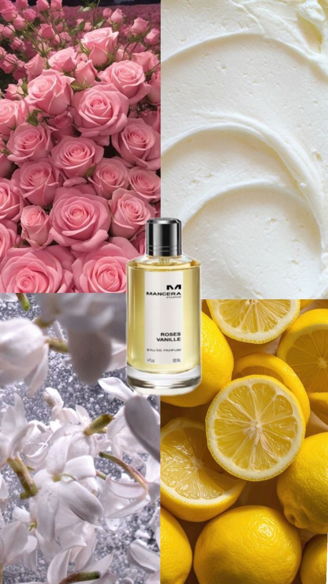 Mancera Roses Vanille | Master Box 120ml