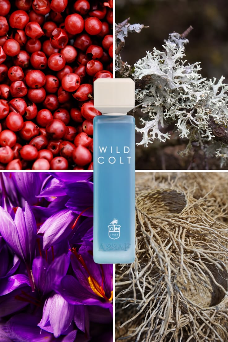 Assaf Wild Colt | Master Box 200ml