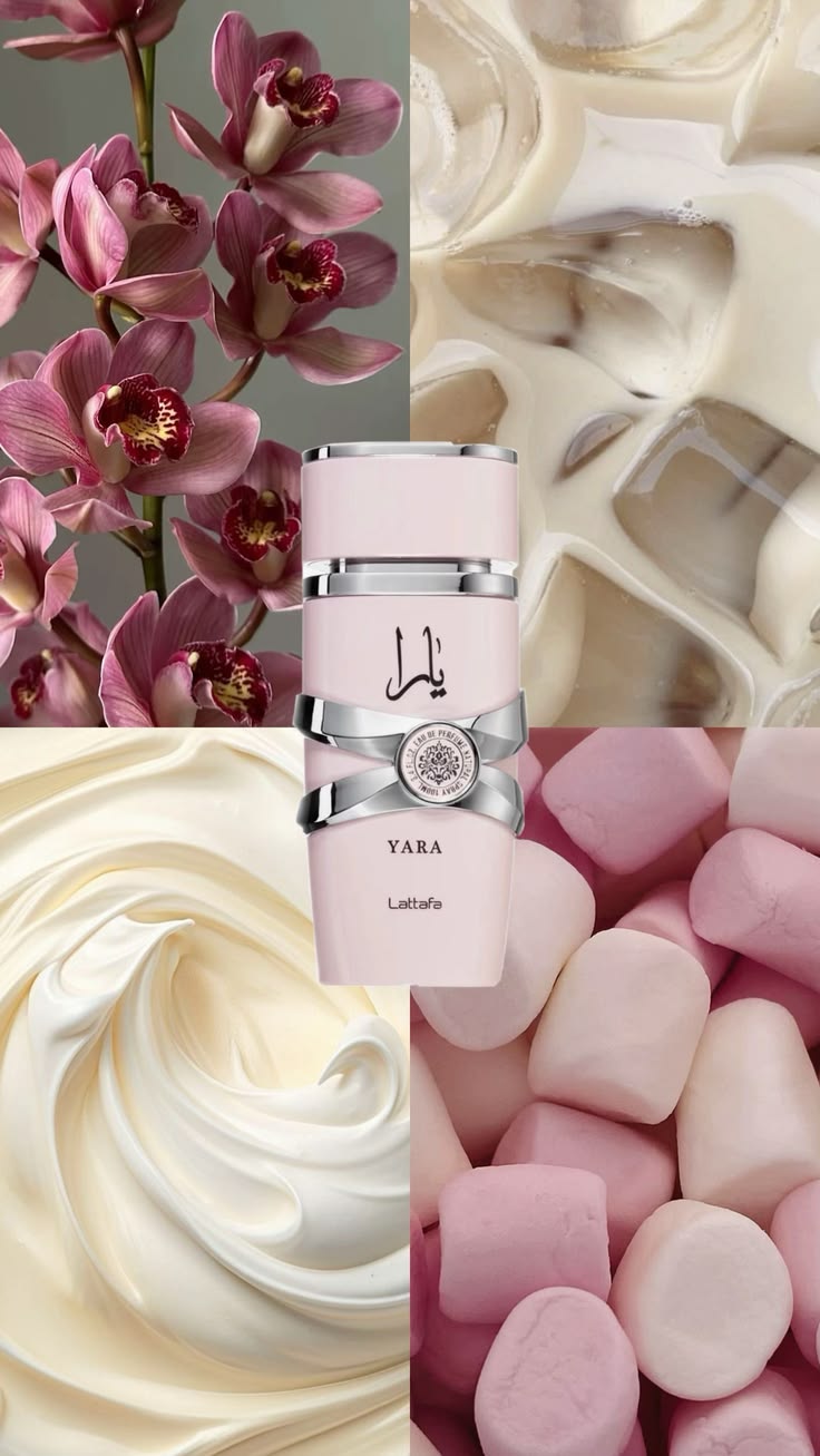 Yara Lattafa | Master Box 100ml