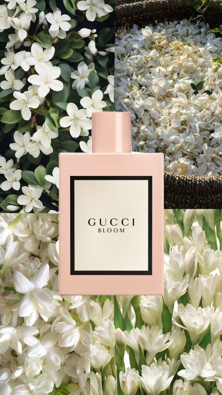 Gucci Bloom | Master Box 100ml